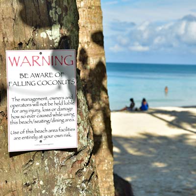 perils of a paradise holiday….