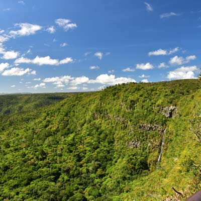 forêts d’ébènes Maurice