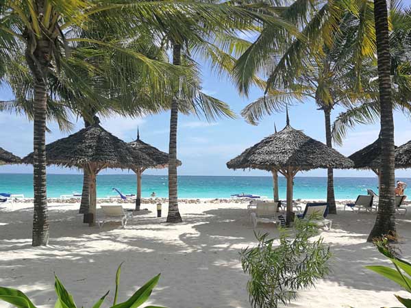 The paradise white beaches of Zanzibar